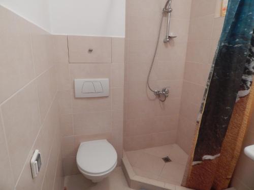 ソゾポルにあるBudzhaka Apartment Africaの小さなバスルーム(トイレ、シャワー付)