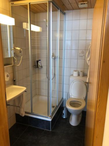 a bathroom with a shower and a toilet and a sink at Hotel Restaurant Simplon in Frutigen