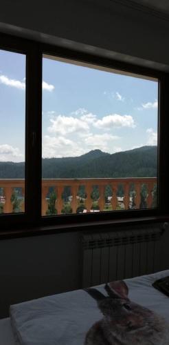 a bedroom with a large window with a view at EldoSport Hotel in Dospat