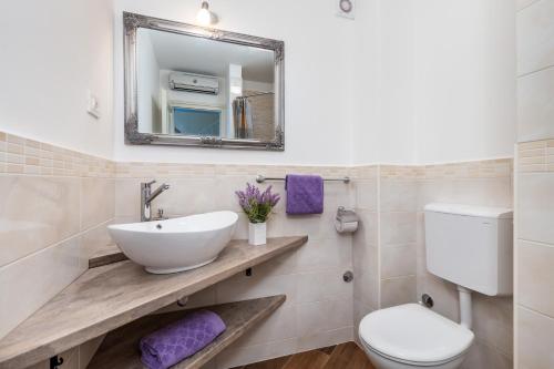 a bathroom with a sink and a toilet and a mirror at Villa Chiara in Brseč