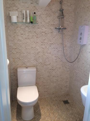 a bathroom with a toilet and a shower at Eydon B&B in Daventry