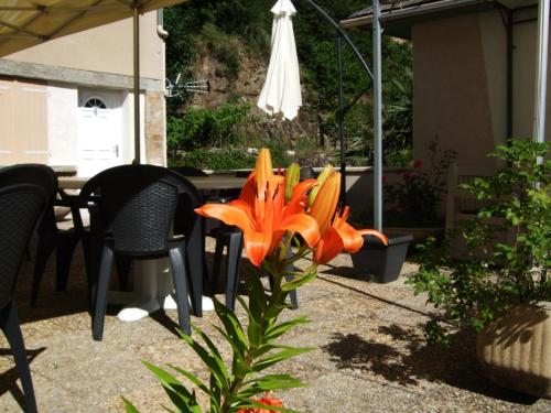 Taman di luar Hôtel Le Moulin D'Olt