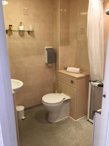 a small bathroom with a toilet and a sink at Cheriton Guesthouse in Sidmouth