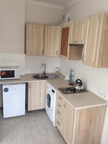 a small kitchen with a sink and a dishwasher at Polyana Apart in Polyana