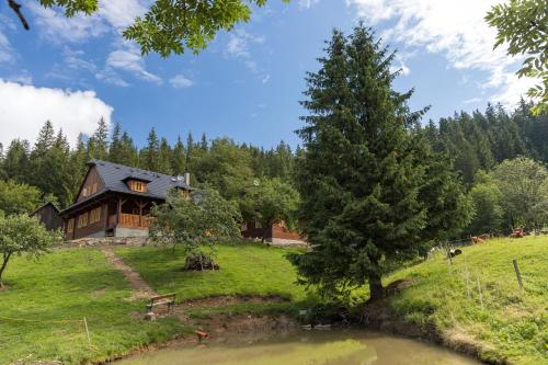 a house on a hill next to a pond at Statek U Rajmunda in Velké Karlovice