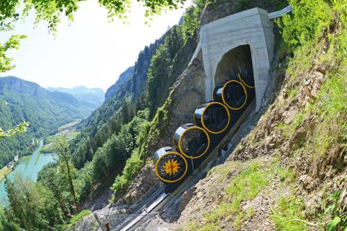 アパートメントの近くで見られる自然の景観