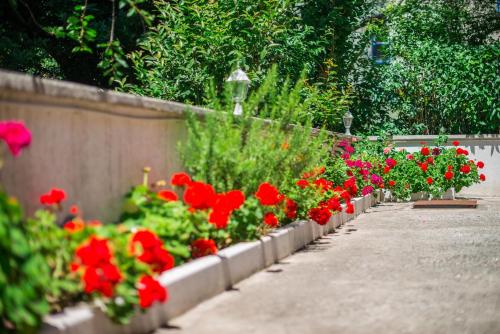 O grădină în afara Villa Rose 2