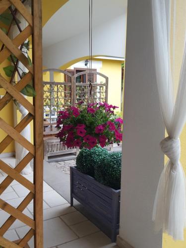 un balcone con un vaso con fiori rosa di acasamia a Oristano