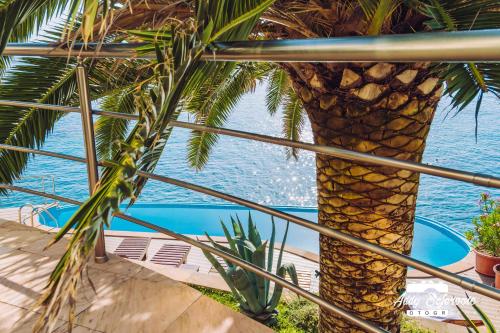 a view of the ocean from a palm tree at Resort Stikovic in Dobra Voda