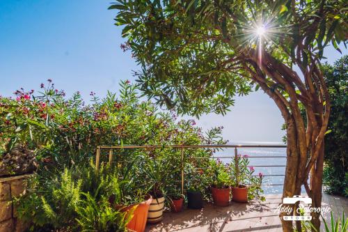 a garden with plants and a tree in front of the water at Resort Stikovic in Dobra Voda