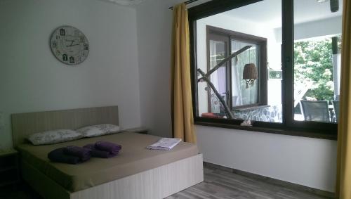 Un dormitorio con una cama con almohadas moradas y una ventana en Casa la Petcu, en Costinesti