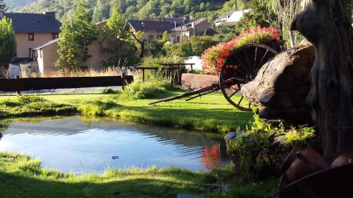 a garden with a pond and a cart in the grass at Roca Blanca in Espot