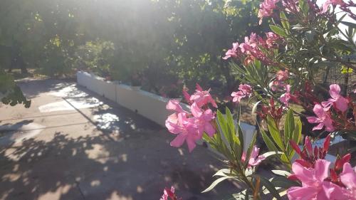 Сад в La dimora di Nonno Nuccio