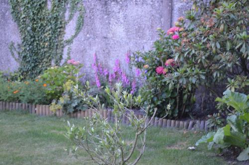 a garden with pink flowers and a stone wall at Logis Hotel & Restaurant La Paix in Le Nouvion-en-Thiérache