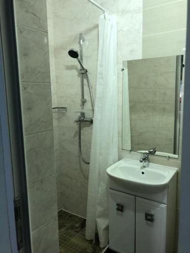 a bathroom with a shower and a sink and a mirror at SV apartments in Zatoka