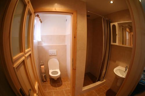 La petite salle de bains est pourvue de toilettes et d'un lavabo. dans l'établissement Chalupa U Mateje, à Trutnov