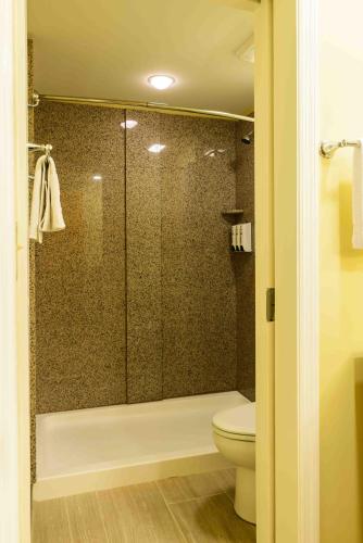 a bathroom with a toilet and a glass shower at Asbury Inn & Suites in Wilmore
