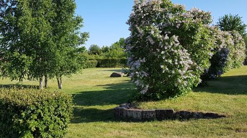 Zahrada ubytování Sinilille 7 Holiday Home
