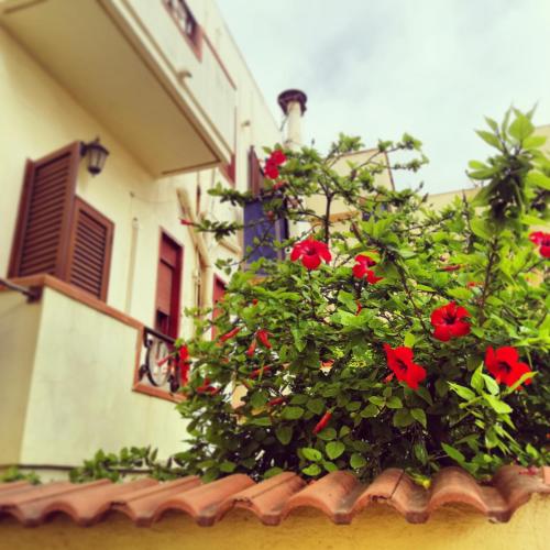 a bush of red flowers on the side of a building at Hotel Le Pelagie in Lampedusa