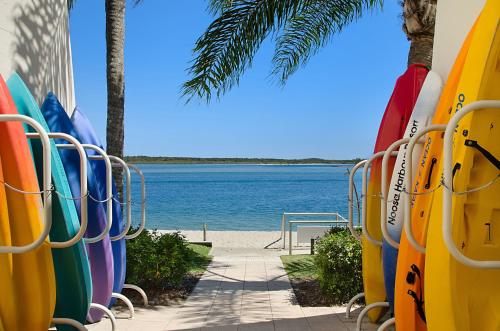a row of surfboards are lined up on the beach at Noosa Harbour Resort in Noosa Heads