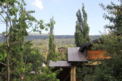 a house with a view of the trees at Skier's House in Mestia