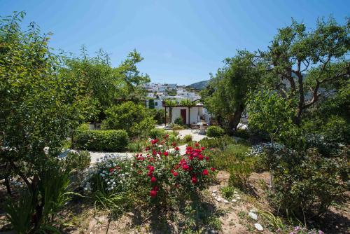 a view of a garden with flowers and trees at Kipos in Apollonia