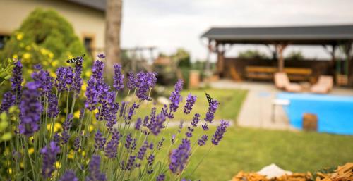 Penzion Živá Pálava