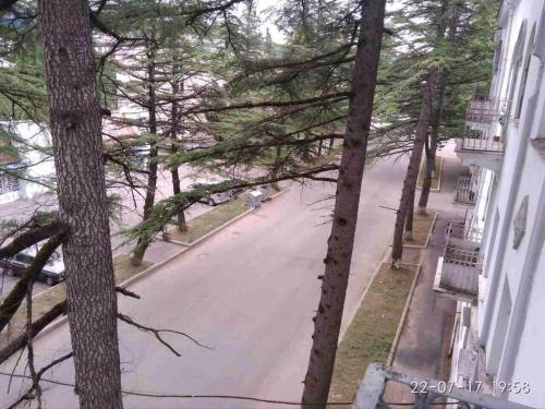 a tree lined street with a person riding a motorcycle at Apartment in Tskaltubo - # 1 in Tskaltubo