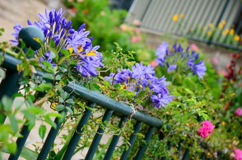 Jardín al aire libre en Villa Spring Acre