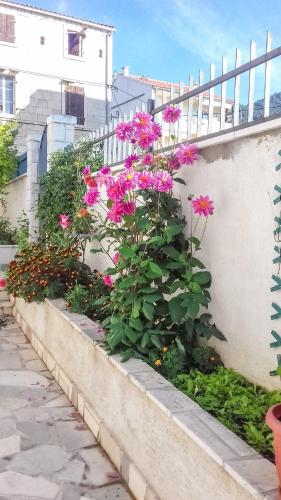Κήπος έξω από το Apartments Kastelani