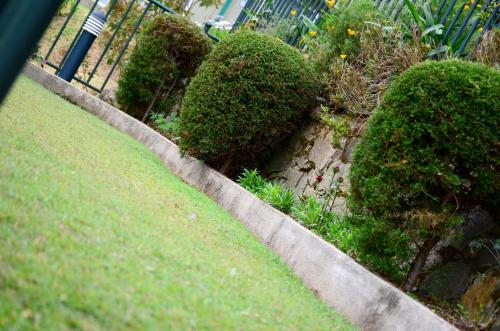 Jardín al aire libre en Villa Spring Acre