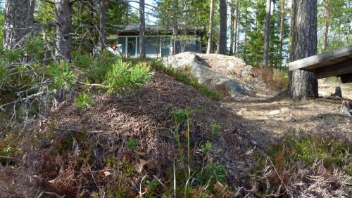 Loma-asunnon lähellä sijaitseva luonnonmaisema