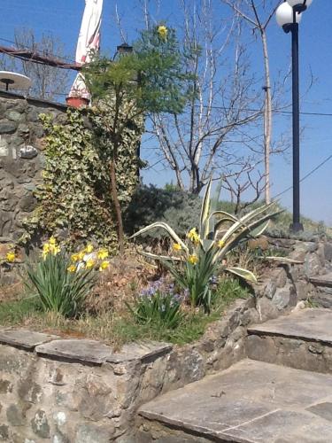 a garden with flowers and a stone wall at Evridiki in Vergina