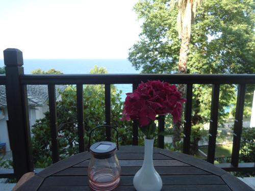 Gallery image of Eden Hotel in Agios Ioannis Pelio