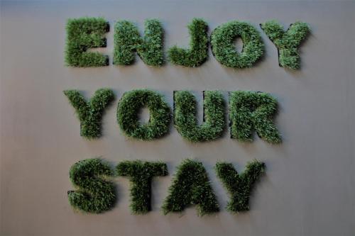 a bunch of green plants on a wall at Dannunziano Aparthotel in Chieti