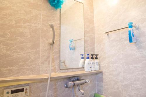 a bathroom with a mirror and a shower at Tokyo Aoto House in Tokyo