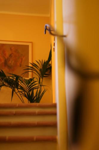 a plant sitting on top of a flight of stairs at La Locanda Di San Francesco in Montepulciano
