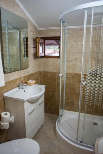 a bathroom with a shower and a toilet and a sink at Cabana Schiori in Sinaia