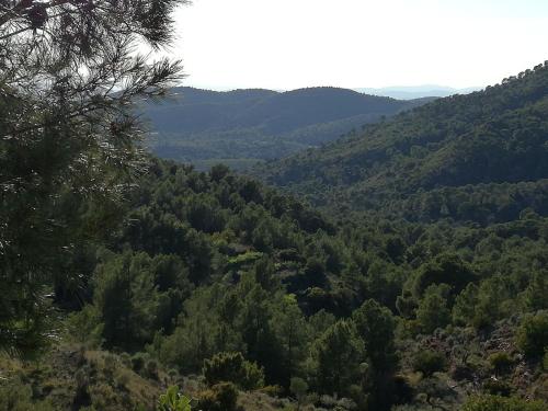 Foto Ca'ls avis 6