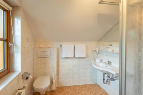 a bathroom with a toilet and a sink at Ferienhof Nasnergut in Radstadt