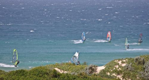 a group of people windsurfing in the ocean at Cape St Francis Resort in Cape St Francis