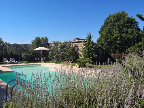 une piscine dans un jardin avec des fleurs violettes dans l'établissement La Morgiane, à Saint-Germain-les-Vergnes