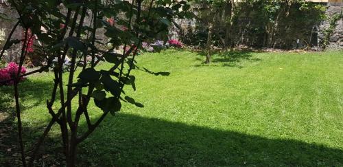 Kebun di luar Vesuvius Gardens - Fagianeria Borbonica Relais