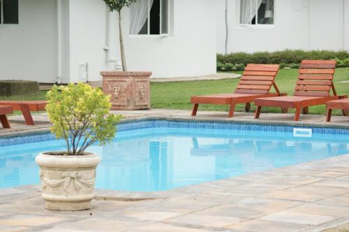 uma piscina com duas cadeiras e uma planta num vaso em Mount Currie Inn em Kokstad