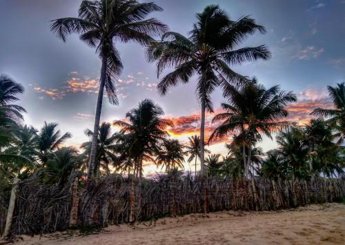 a group of palm trees on a beach with a sunset at Pousada Jardim Das Margaridas in Trancoso
