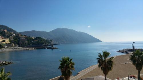 a view of a body of water with palm trees at Hotel Elena in Recco