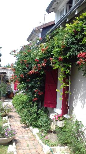 a house with red doors and flowers on it at 18 châteaux et Beauval sur un rayon de 30 km in Saint-Georges-sur-Cher