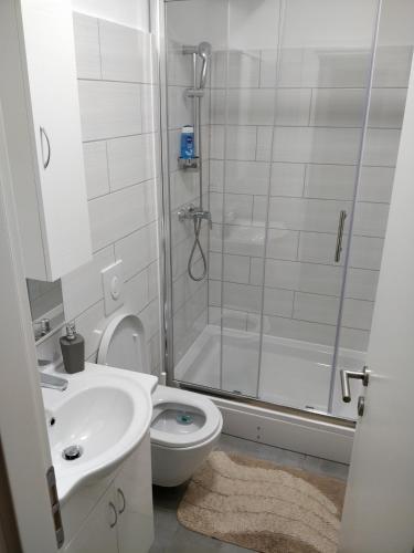 a bathroom with a shower and a toilet and a sink at Savski Gaj in Zagreb