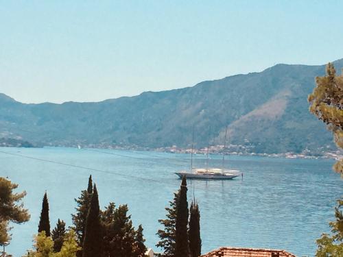 a boat sitting in the middle of a lake at B & M Apartments in Kotor