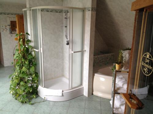 a bathroom with a shower and a toilet at Landhotel Zur Schmiede in Göhren-Lebbin